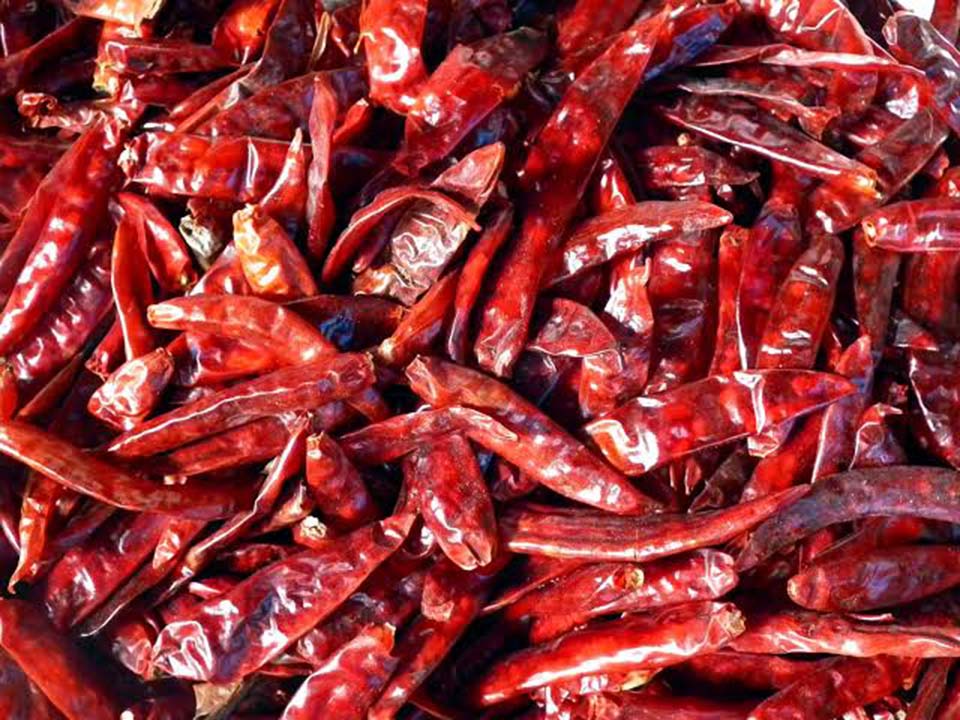 Red Pepper